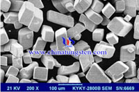 ammonium paratungstate SEM micrograph ammonium paratungstate SEM micrograph