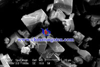 ammonium paratungstate SEM micrograph ammonium paratungstate SEM micrograph